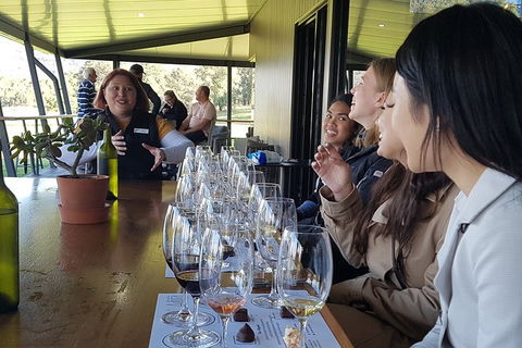 Hunter Valley Small Group Wine, Gin, Cheese & Chocolate Tour - Accommodation Tasmania 2