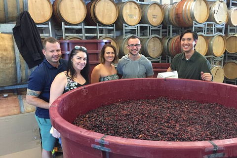 Hunter Valley Small Group Wine, Gin, Cheese & Chocolate Tour - Accommodation Tasmania 0