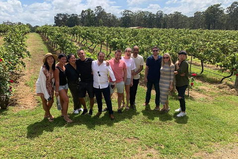 Hunter Valley Exclusive Kangaroo And Wine Tasting Experience - Accommodation Tasmania 6