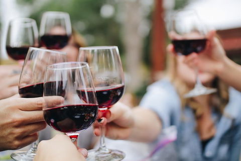 Six Hour - Plan Your Own Wine And Cheese Tour Hunter Valley - Accommodation Tasmania 8