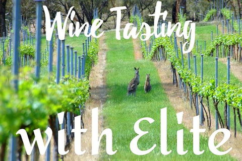 Six Hour - Plan Your Own Wine And Cheese Tour Hunter Valley - Accommodation Tasmania 7