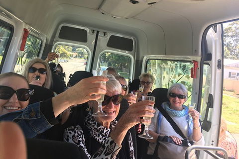 Six Hour - Plan Your Own Wine And Cheese Tour Hunter Valley - Accommodation Tasmania 1