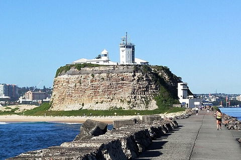Newcastle Scenic Explorer - 2 Hour Tour By Minibus - Accommodation Tasmania 7
