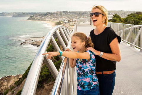 Newcastle Scenic Explorer - 2 Hour Tour By Minibus - Accommodation Tasmania 0