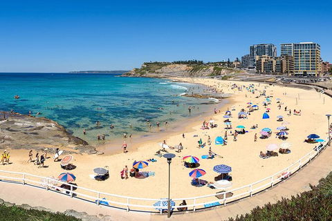 Newcastle Scenic Explorer - 2 Hour Tour By Minibus - Accommodation Tasmania 16