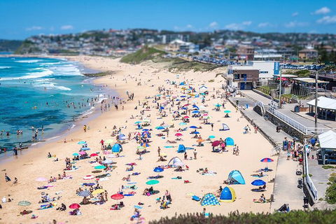 Newcastle Scenic Explorer - 2 Hour Tour By Minibus - Accommodation Tasmania 6