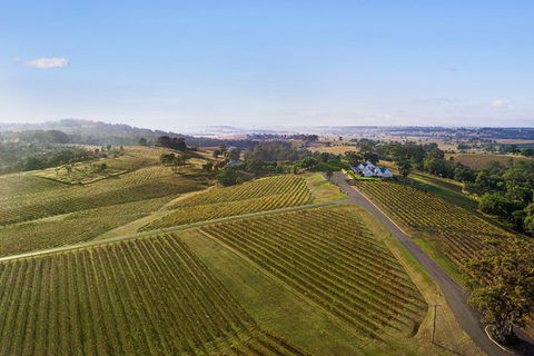 Audrey Wilkinson Vineyard: Fromage And Fortified Wine Experience - Accommodation Tasmania 1