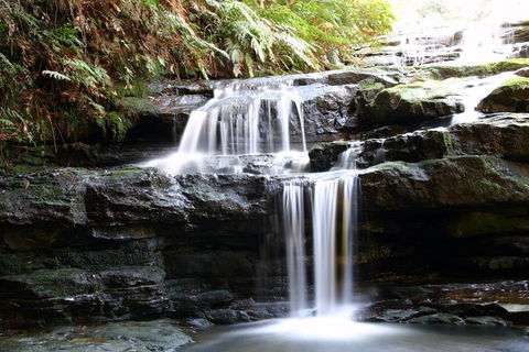 Private 10-hour Tour To Blue Mountains From Sydney - Hotel Pick Up & Drop Off - Accommodation Tasmania 6