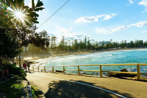Sydney With Bondi And Beaches Essentials Private Day Tour - Accommodation Tasmania 8