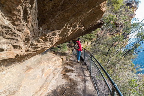 Blue Mountains Highlights & Wildlife Park - Accommodation Tasmania 0