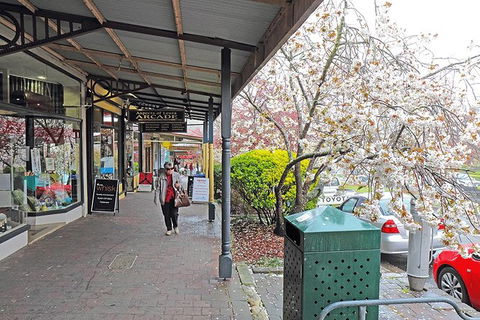 Blue Mountains Highlights & Wildlife Park - Accommodation Tasmania 2