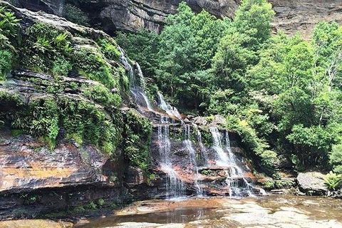 Blue Mountains Highlights & Wildlife Park - Accommodation Tasmania 8