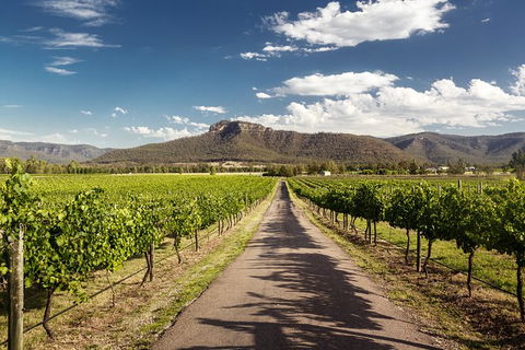 Hunter Valley Highlights Private Wine Tour From Sydney - Accommodation Tasmania 2