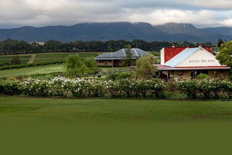 Hunter Valley Highlights Private Wine Tour From Sydney - Accommodation Tasmania 5