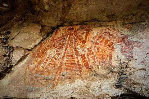 Arnhem Land Injalak Hill Full-Day Tour From Jabiru - Accommodation Tasmania 2