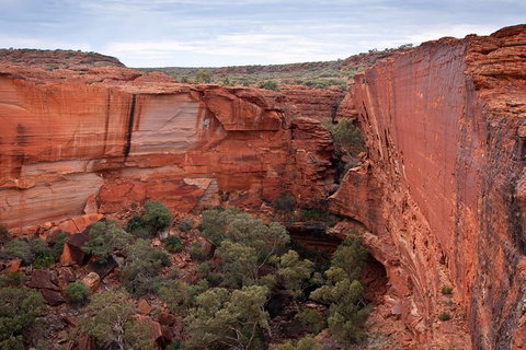 Uluru, Kata Tjuta And Kings Canyon Camping Safari From Alice Springs - Accommodation Tasmania 4