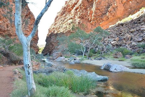 Alice Springs, Uluru Ayers Rock & Kings Canyon 8 Days Touring Package - Accommodation Tasmania 2
