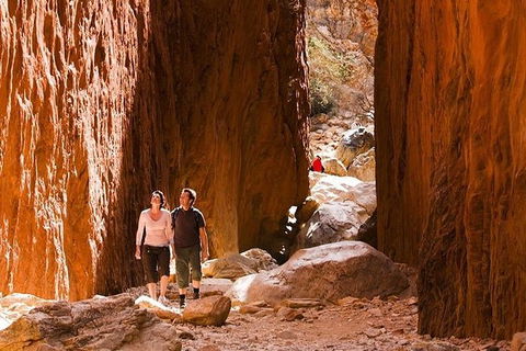 Alice Springs, Uluru Ayers Rock & Kings Canyon 8 Days Touring Package - Accommodation Tasmania 5
