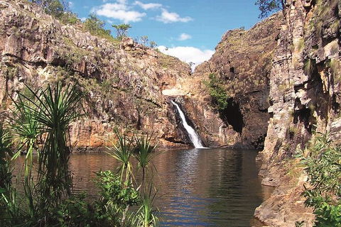 Kakadu, Katherine & Litchfield Adventure - Accommodation Tasmania 1