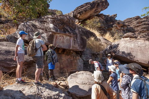 Arnhem Land Injalak Hill Full-Day Tour From Darwin - Accommodation Tasmania 10