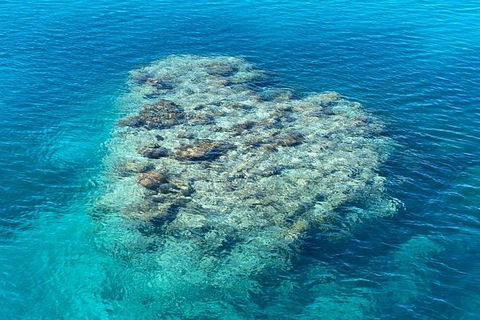 Lady Musgrave Day Trip From Bundaberg Including Snorkeling, Glass Bottom Tour And Guided Island Walk - Accommodation Tasmania 2