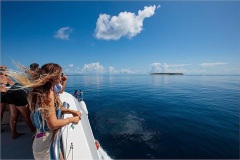 Lady Musgrave Day Trip From Bundaberg Including Snorkeling, Glass Bottom Tour And Guided Island Walk - Accommodation Tasmania 4