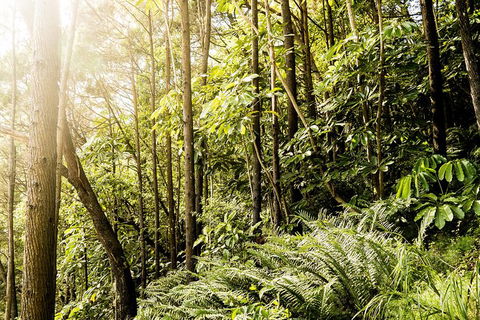 Everglades Eco Safari To Australia\'s Everglades - Accommodation Tasmania 12
