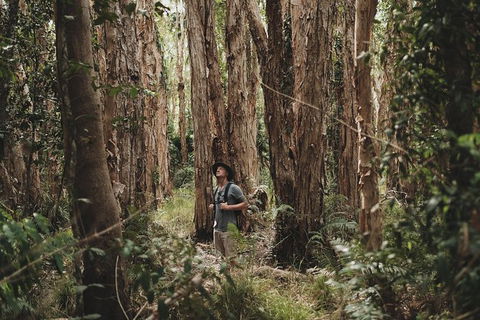 Everglades Eco Safari To Australia\'s Everglades - Accommodation Tasmania 7