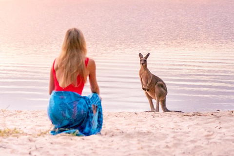 Everglades Eco Safari To Australia\'s Everglades - Accommodation Tasmania 1