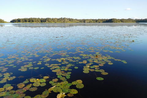 Everglades Eco Safari To Australia\'s Everglades - Accommodation Tasmania 5