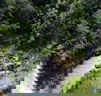 Full-day Springbrook National Park Tour from the Gold Coast - Accommodation Tasmania