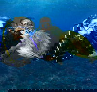Gold Coast Try-Scuba Experience at Wave Break Island - Accommodation Tasmania