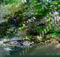 Gold Coast 4WD Eco Outback Tracks Tour - Accommodation Tasmania