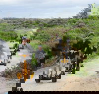Gold Coast Segway Safari Adventure 90-minutes - Accommodation Tasmania