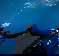 3- Day Advanced Open Water Diver Course on the Gold Coast - Accommodation Tasmania