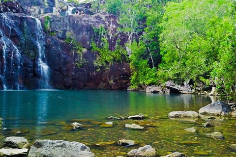 Reef, Wildlife & Rainforest - Reef & Beyond Guided Holidays - Accommodation Tasmania 0