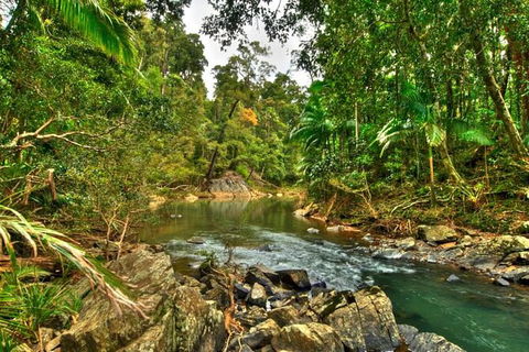 Reef, Wildlife & Rainforest - Reef & Beyond Guided Holidays - Accommodation Tasmania 3