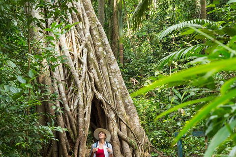 Reef, Wildlife & Rainforest - Reef & Beyond Guided Holidays - Accommodation Tasmania 2