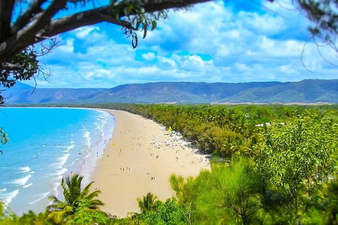 Airport Transfer - Cairns Airport To Port Douglas - Accommodation Tasmania 2