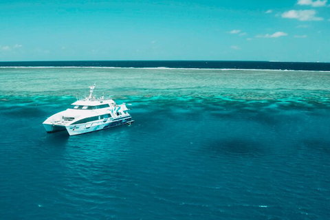 Australia East Coast: End Of Semester - Accommodation Tasmania 1