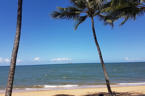 Private Transfers - Cairns Airport To Palm Cove - Accommodation Tasmania 8
