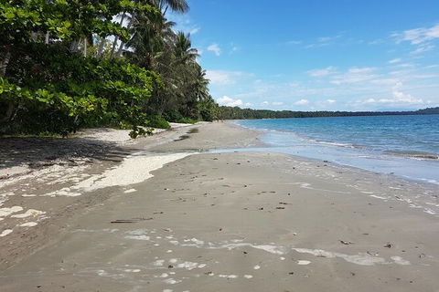 Private Transfers - Cairns Airport To Palm Cove - Accommodation Tasmania 1