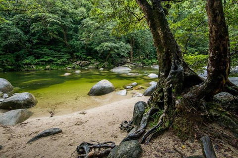 Port Douglas Daintree National Park Boutique Full-Day Tour - Accommodation Tasmania 5
