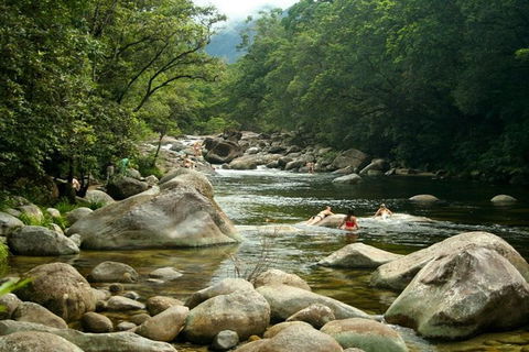Port Douglas Daintree National Park Boutique Full-Day Tour - Accommodation Tasmania 2
