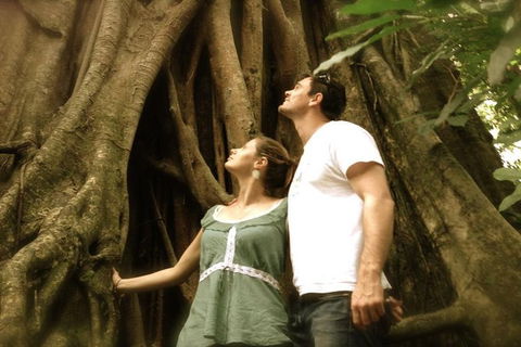 Port Douglas Daintree National Park Boutique Full-Day Tour - Accommodation Tasmania 3