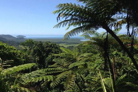 Port Douglas Daintree National Park Boutique Full-Day Tour - Accommodation Tasmania 1