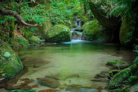 SHUTTLE - Mossman Gorge & Cooya Beach From Port Douglas (Return Transfer) - Accommodation Tasmania 2