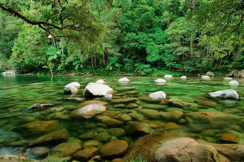 SHUTTLE - Mossman Gorge & Cooya Beach From Port Douglas (Return Transfer) - Accommodation Tasmania 3