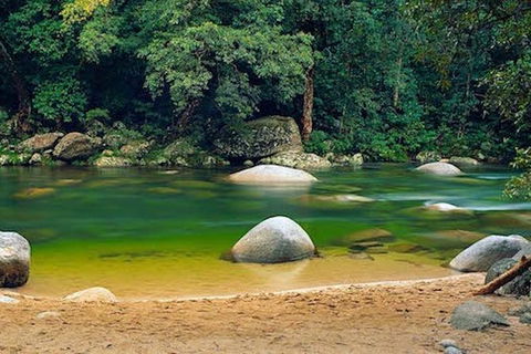 SHUTTLE - Mossman Gorge & Cooya Beach From Port Douglas (Return Transfer) - Accommodation Tasmania 1