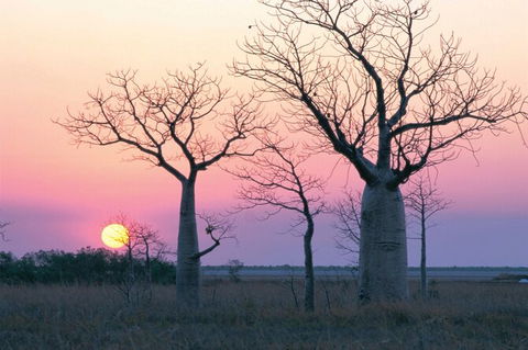 8-Day Outback Experience From Queensland - Accommodation Tasmania 0